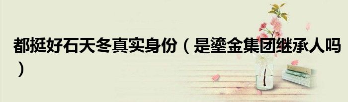 都挺好石天冬真实身份（是鎏金集团继承人吗）