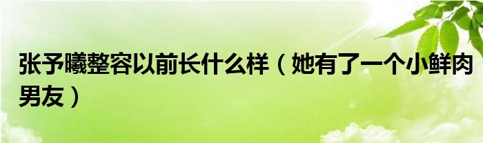 张予曦整容以前长什么样（她有了一个小鲜肉男友）