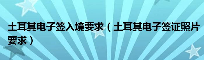 土耳其电子签入境要求（土耳其电子签证照片要求）