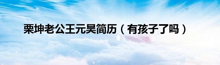 栗坤老公王元昊简历（有孩子了吗）