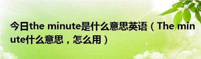 生动的minute是什么意思的图像