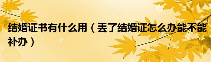 结婚证书有什么用（丢了结婚证怎么办能不能补办）