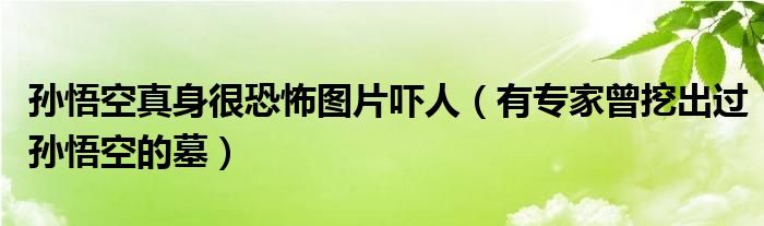 孙悟空真身很恐怖图片吓人（有专家曾挖出过孙悟空的墓）