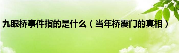 九眼桥事件指的是什么（当年桥震门的真相）