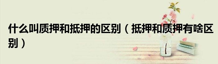 什么叫质押和抵押的区别（抵押和质押有啥区别）
