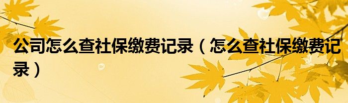 公司怎么查社保缴费记录（怎么查社保缴费记录）