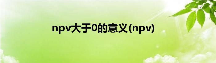 npv大于0的意义(npv)