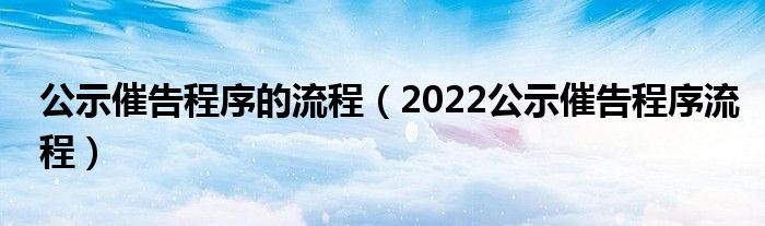 公示催告程序的流程（2022公示催告程序流程）