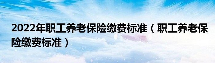 2022年职工养老保险缴费标准（职工养老保险缴费标准）