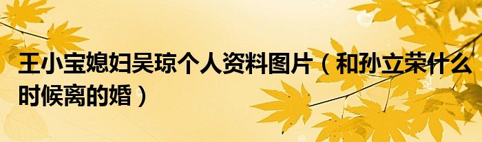 王小宝媳妇吴琼个人资料图片（和孙立荣什么时候离的婚）