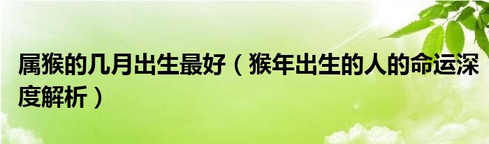 属猴的几月出生最好（猴年出生的人的命运深度解析）