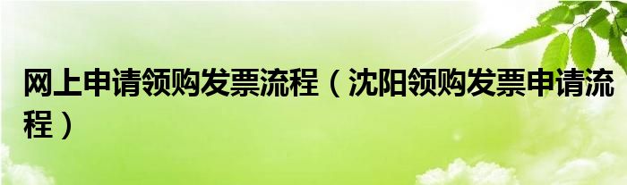 网上申请领购发票流程（沈阳领购发票申请流程）