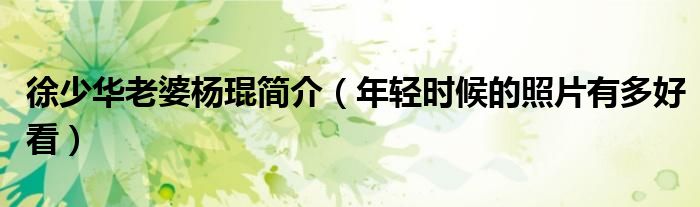 徐少华老婆杨琨简介（年轻时候的照片有多好看）
