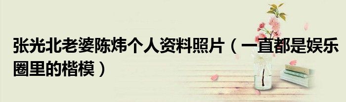张光北老婆陈炜个人资料照片（一直都是娱乐圈里的楷模）