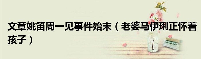 文章姚笛周一见事件始末（老婆马伊琍正怀着孩子）