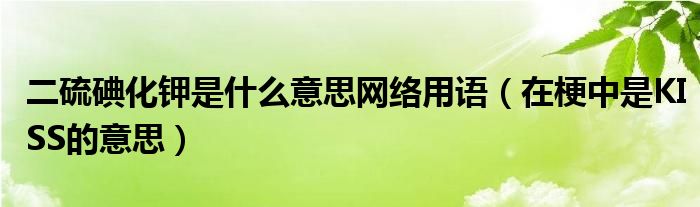 二硫碘化钾是什么意思网络用语（在梗中是KISS的意思）