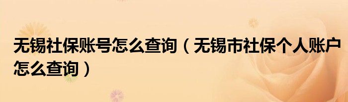 无锡社保账号怎么查询（无锡市社保个人账户怎么查询）