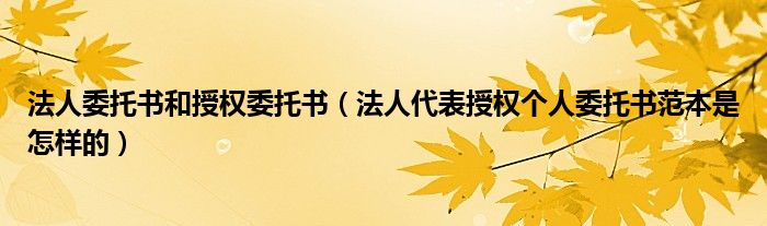 法人委托书和授权委托书（法人代表授权个人委托书范本是怎样的）