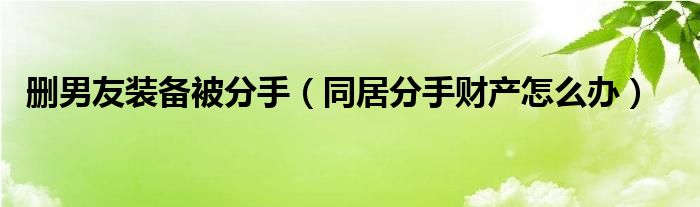 删男友装备被分手（同居分手财产怎么办）