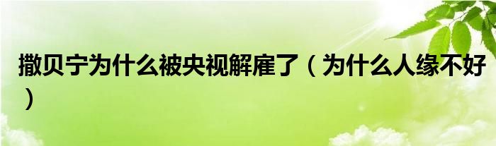 撒贝宁为什么被央视解雇了（为什么人缘不好）