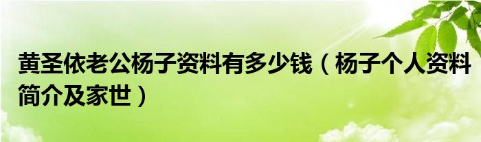 黄圣依老公杨子资料有多少钱（杨子个人资料简介及家世）