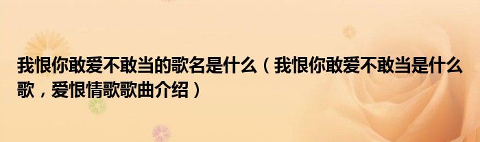 我恨你敢爱不敢当的歌名是什么（我恨你敢爱不敢当是什么歌，爱恨情歌歌曲介绍）