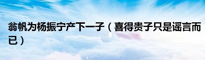 翁帆为杨振宁产下一子（喜得贵子只是谣言而已）