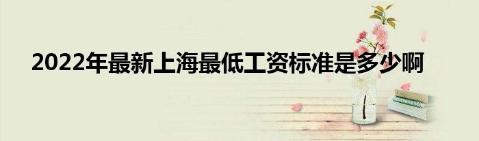 2022年最新上海最低工资标准是多少啊