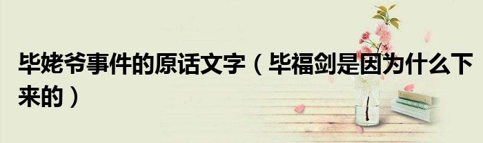毕姥爷事件的原话文字（毕福剑是因为什么下来的）