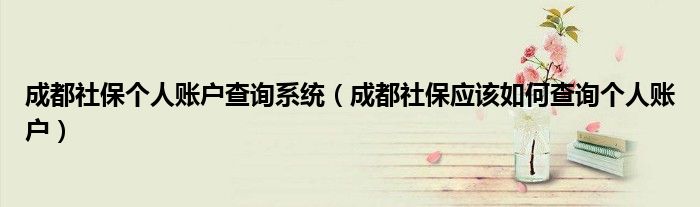 成都社保个人账户查询系统（成都社保应该如何查询个人账户）