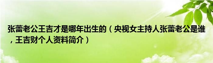 张蕾老公王吉才是哪年出生的（央视女主持人张蕾老公是谁，王吉财个人资料简介）