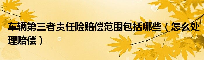 车辆第三者责任险赔偿范围包括哪些（怎么处理赔偿）