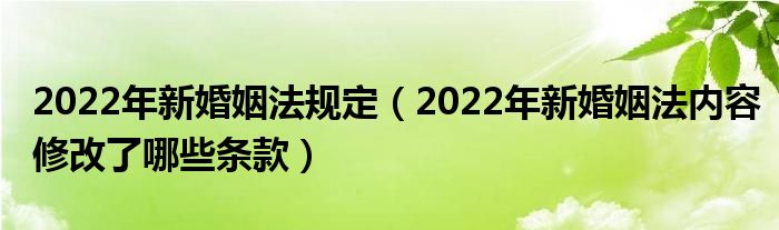 2022年新婚姻法规定（2022年新婚姻法内容修改了哪些条款）
