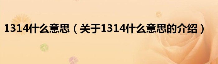 1314什么意思（关于1314什么意思的介绍）
