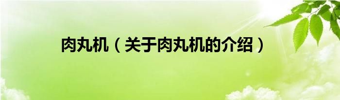 肉丸机（关于肉丸机的介绍）