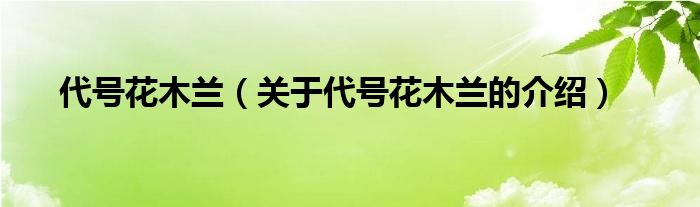 代号花木兰（关于代号花木兰的介绍）