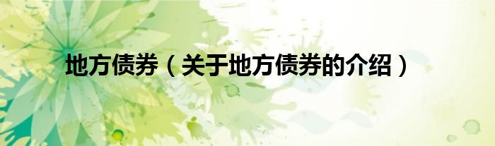 地方债券（关于地方债券的介绍）