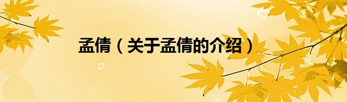 孟倩（关于孟倩的介绍）