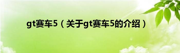 gt赛车5（关于gt赛车5的介绍）