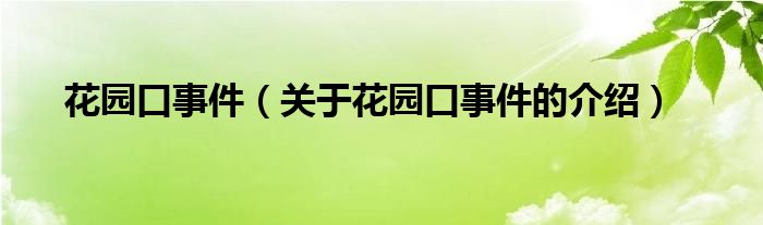 花园口事件（关于花园口事件的介绍）