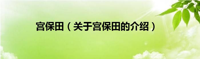 宫保田（关于宫保田的介绍）