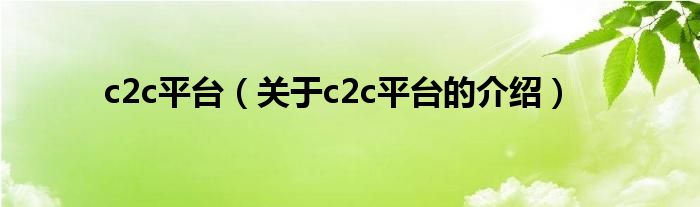 c2c平台（关于c2c平台的介绍）