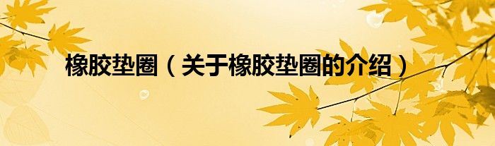 橡胶垫圈（关于橡胶垫圈的介绍）