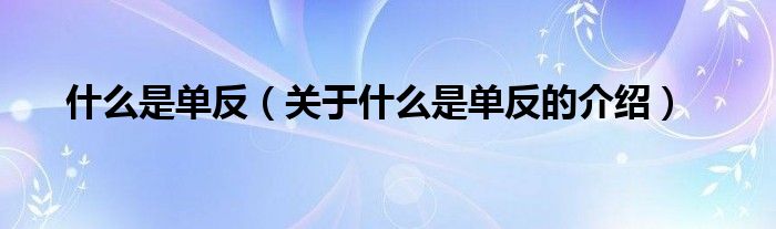 什么是单反（关于什么是单反的介绍）