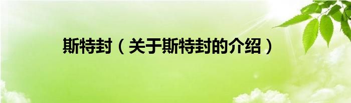 斯特封（关于斯特封的介绍）
