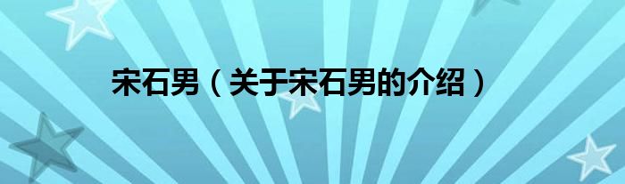 宋石男（关于宋石男的介绍）