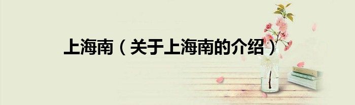 上海南（关于上海南的介绍）