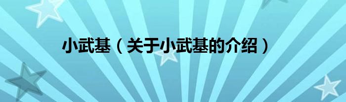 小武基（关于小武基的介绍）