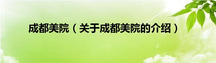 成都美院（关于成都美院的介绍）