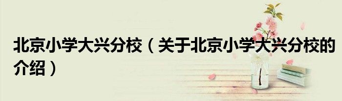 北京小学大兴分校（关于北京小学大兴分校的介绍）